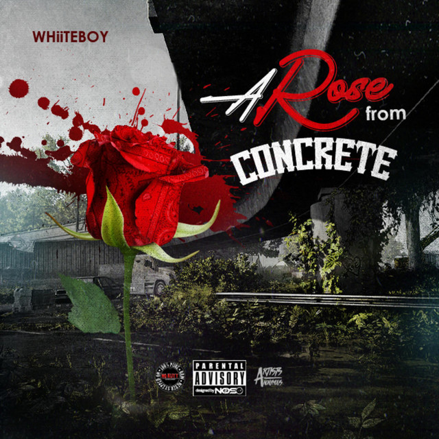 Arose from Concrete cover art
