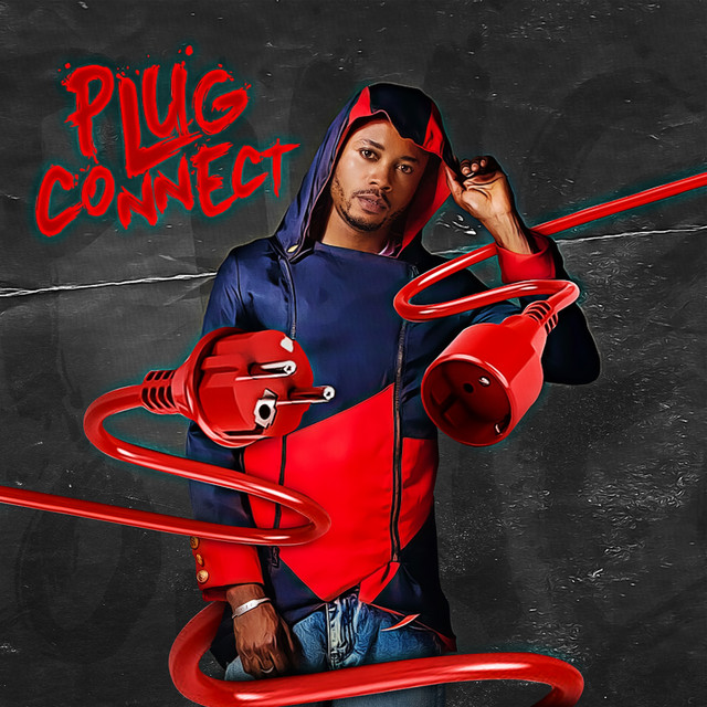 Plug Connect cover art