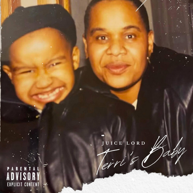 Terri's Baby cover art