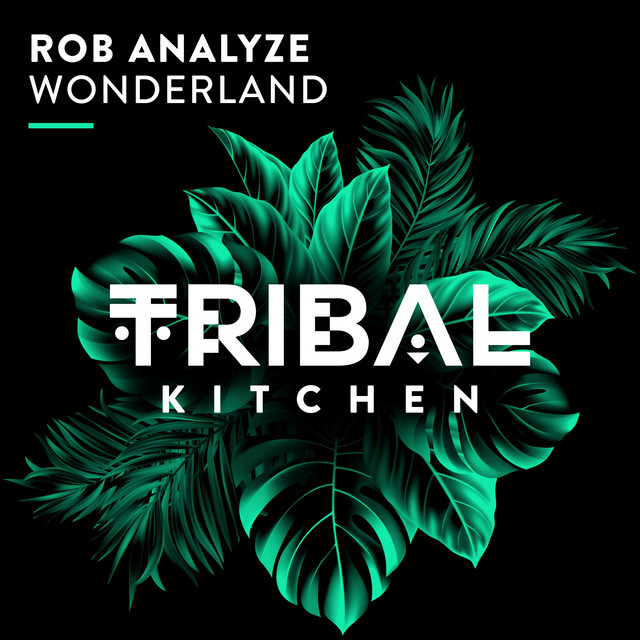 Wonderland - Extended Mix album art