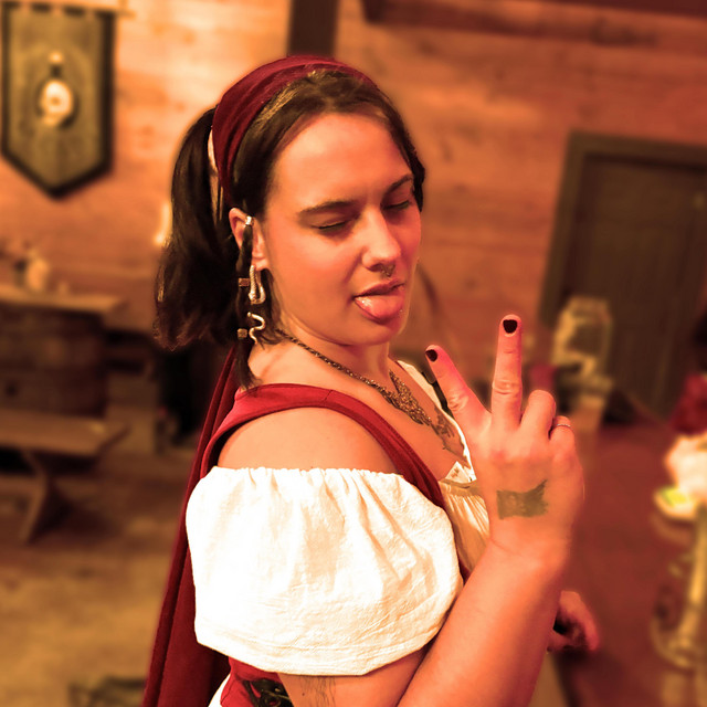 My Favorite Wench cover art