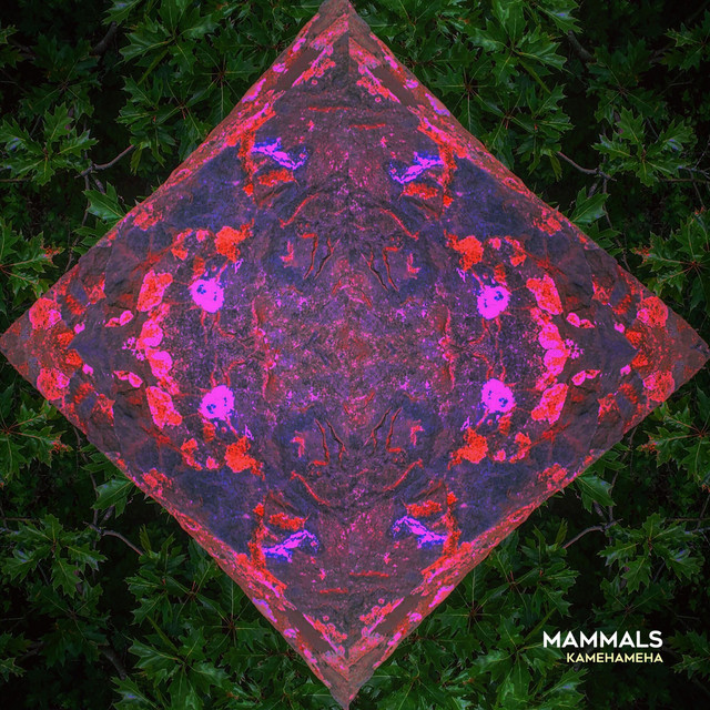 Mammals