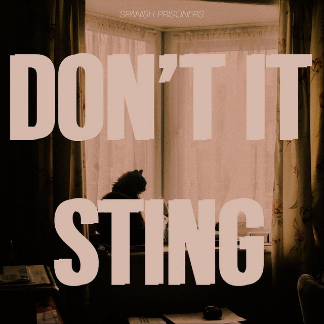Don't It Sting cover