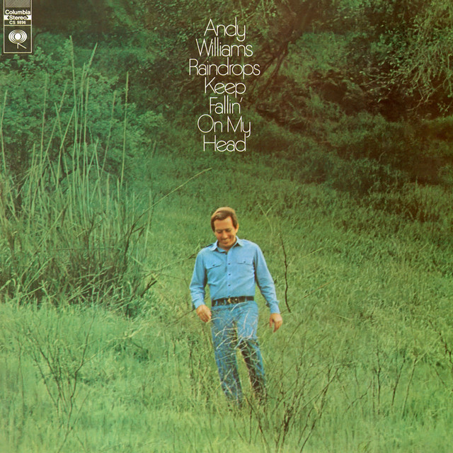 Raindrops Keep Fallin' On My Head cover art