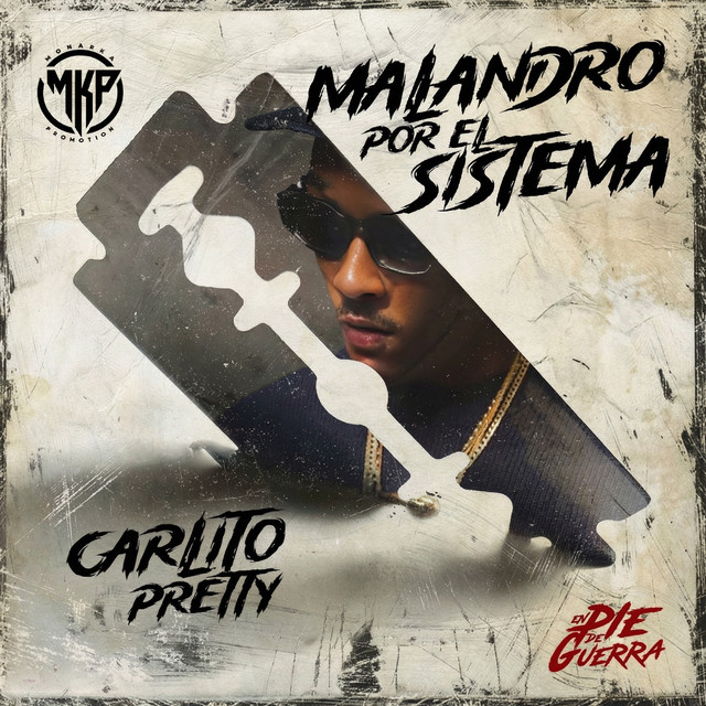 MALANDRO POR EL SISTEMA