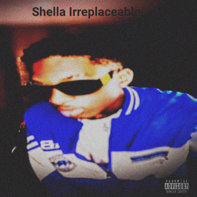 Irreplaceable cover art