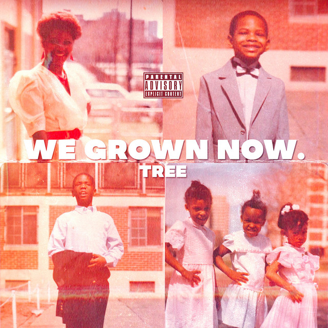 WE Grown NOW. cover art