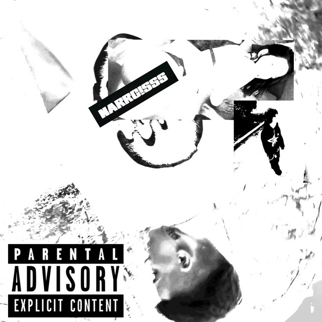 narrc!sss cover art