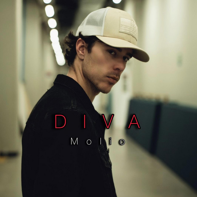 DIVA cover art