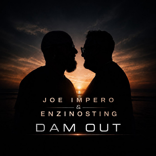 Dam Out cover