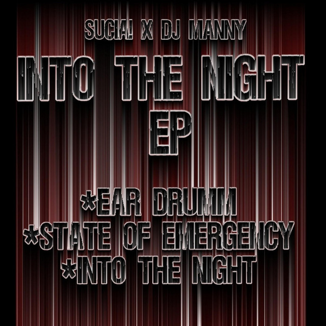 INTO THE NIGHT cover art