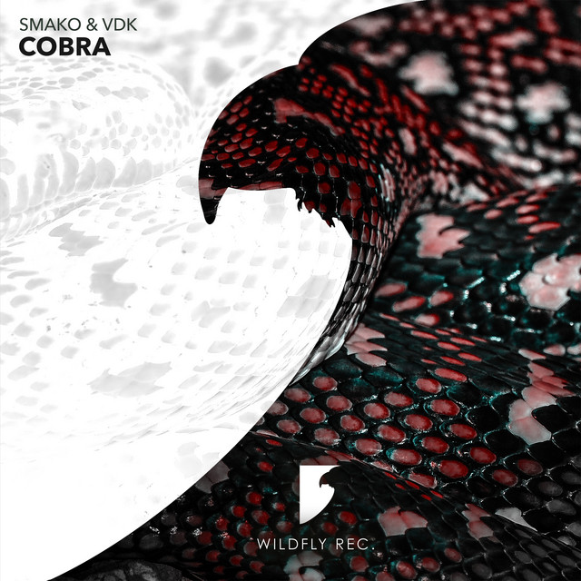 Cobra cover
