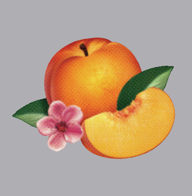 Bankrupt! (Commentary Version) cover art
