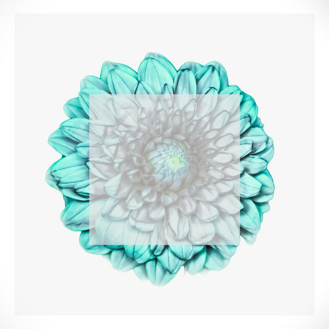 Yullie-Echo | Spotify