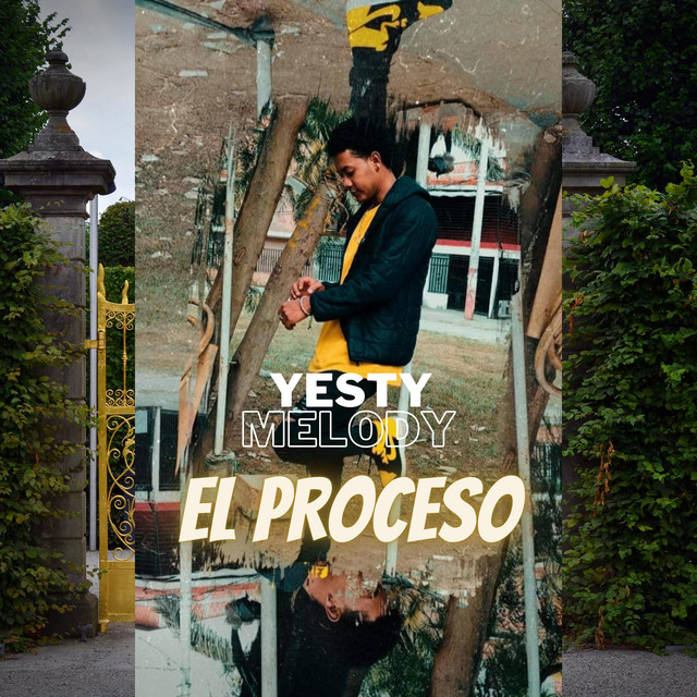 El Proceso