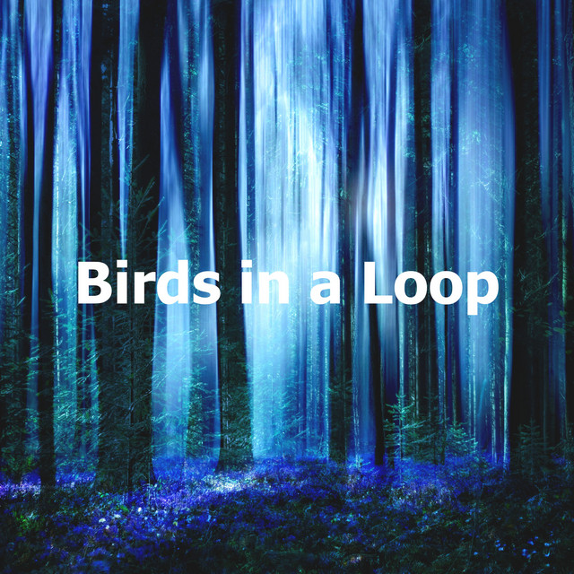 Birds in a Loop - Album by Pro Sounds of Nature | Spotify