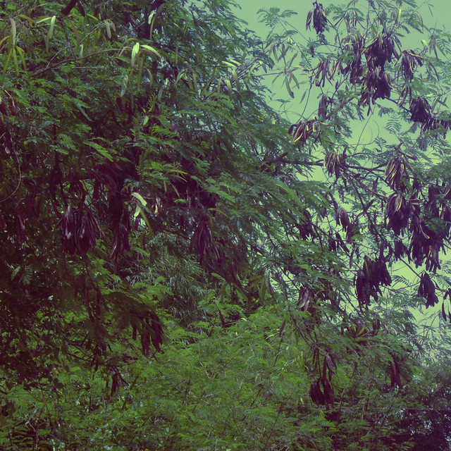 Tamang Panahon cover art