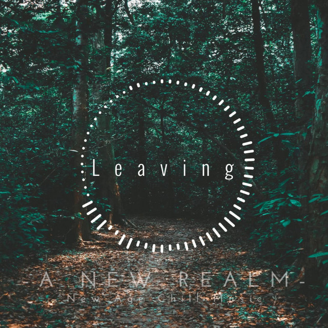 Leaving - Single by -Dhruv Rathod- | Spotify