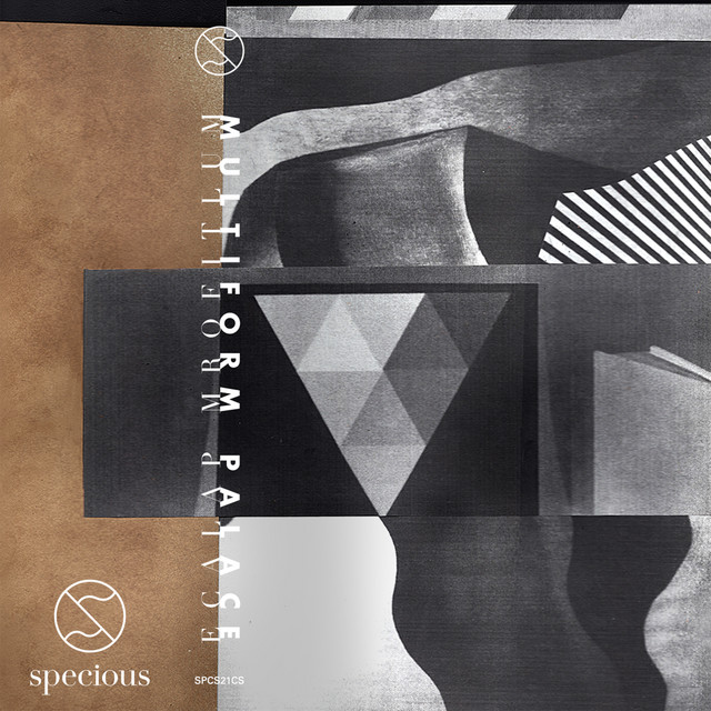 Multiform Palace cover art