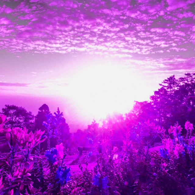Guitar Trio - Background for Coffee and Chilling cover art