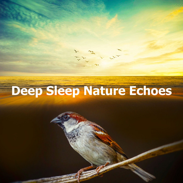 Deep Sleep Nature Echoes - Album by Sommeil profond | Spotify