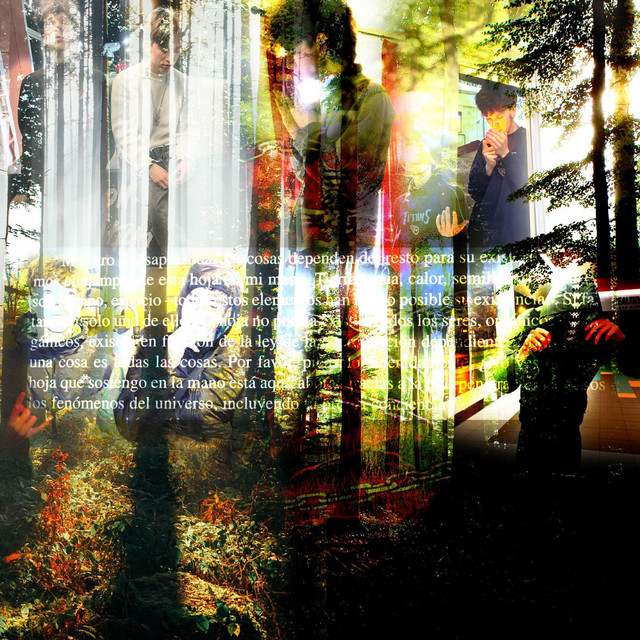 Pienso cover art