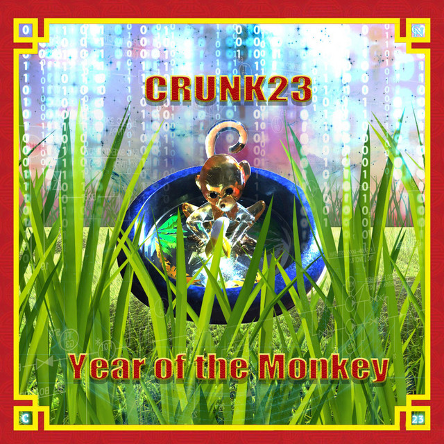 Year Of The Monkey cover