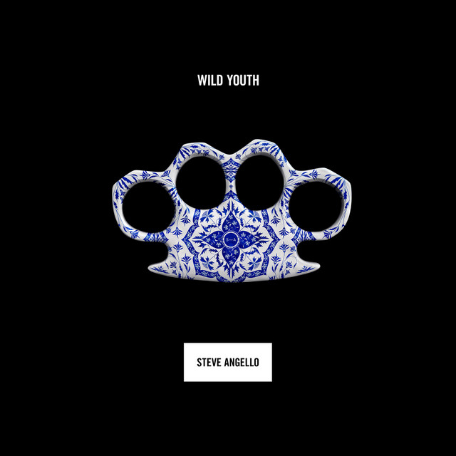 Wild Youth cover art