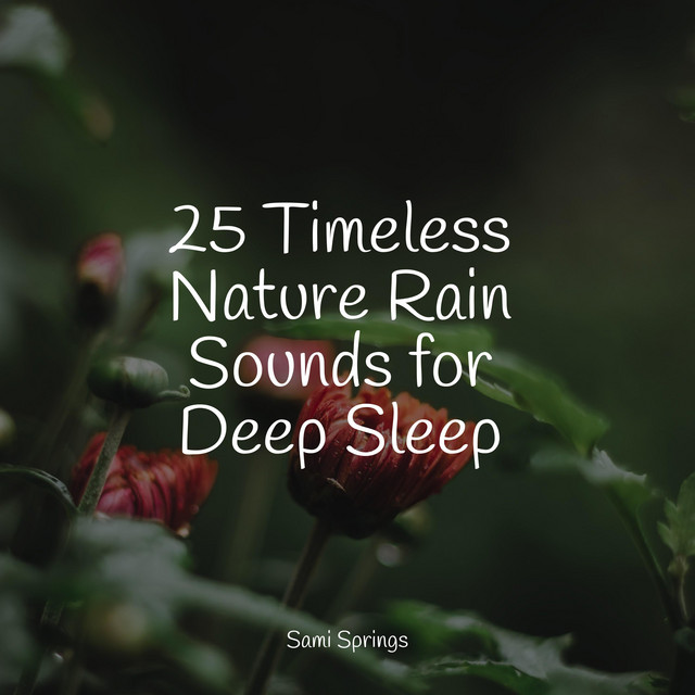 25 Timeless Nature Rain Sounds for Deep Sleep - Album by Nature ...
