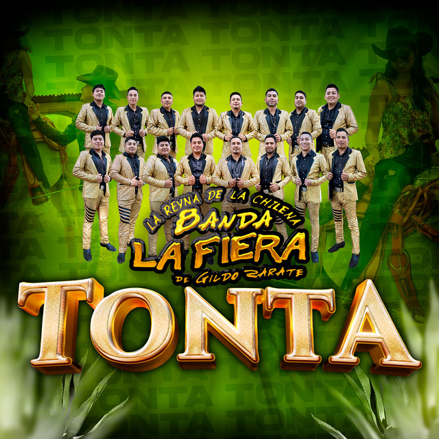 Tonta album image