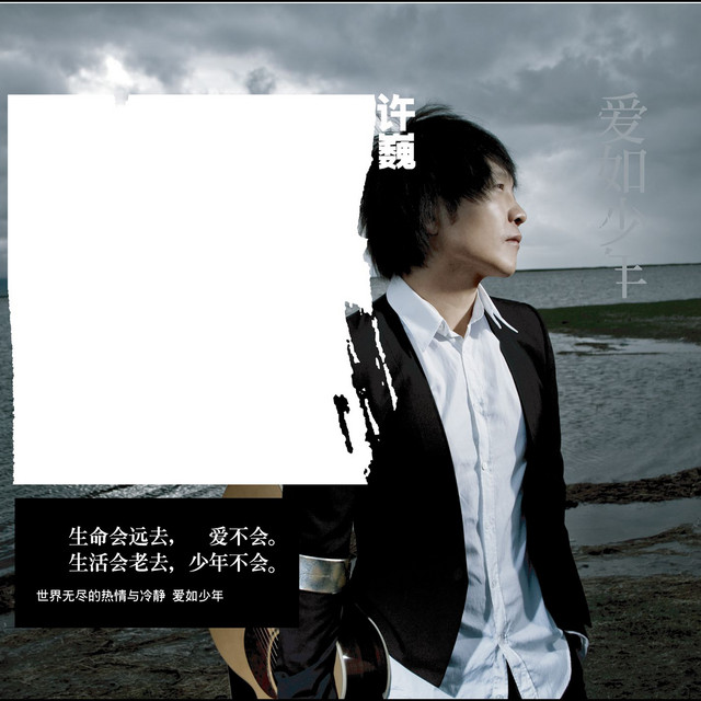 爱如少年 cover art