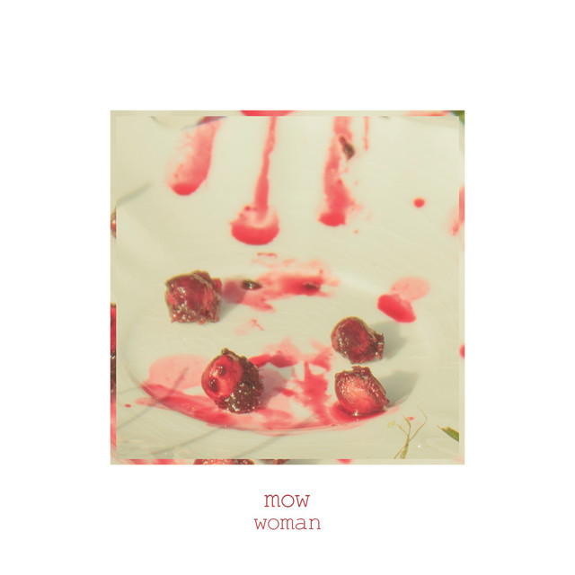 Woman cover art