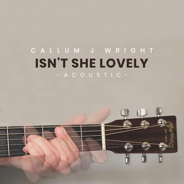 Isn't She Lovely - Acoustic