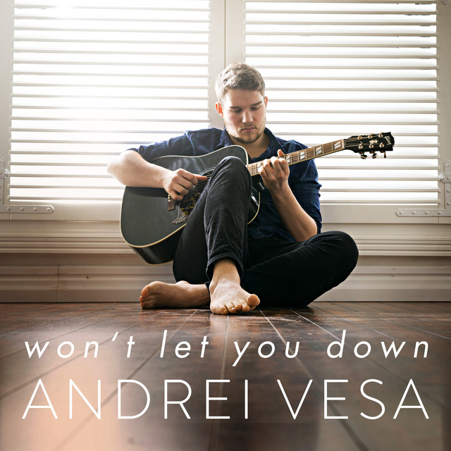 Won't Let You Down cover