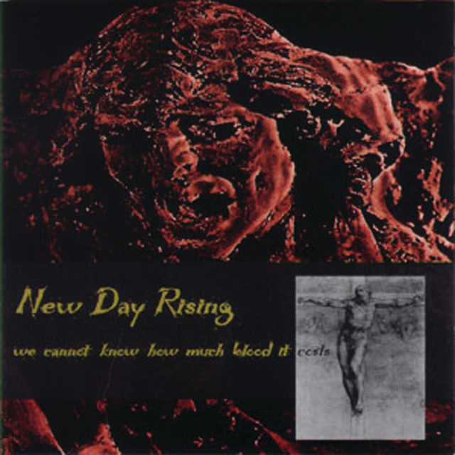 We Cannot Know Have Much Blood It Costs cover art
