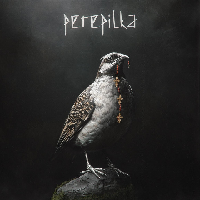 Обкладинка: Perepilka — Bartky