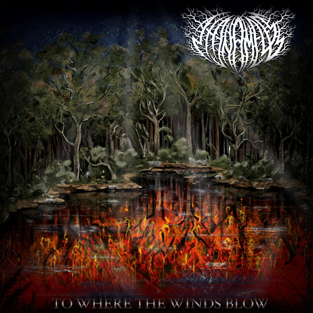 To Where The Winds Blow cover art