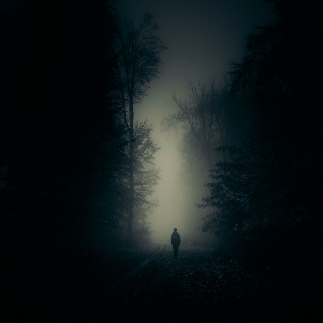 Cover art for Vens Adams — Shadows