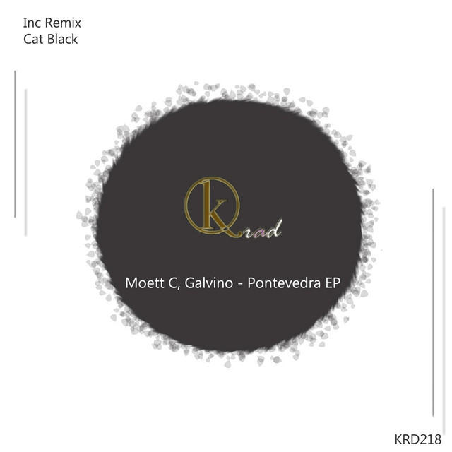 Pontevedra - Cat Black Remix album art