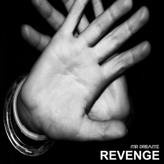 Revenge (Hip Hop Mix) cover
