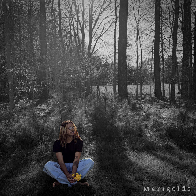 Marigolds
