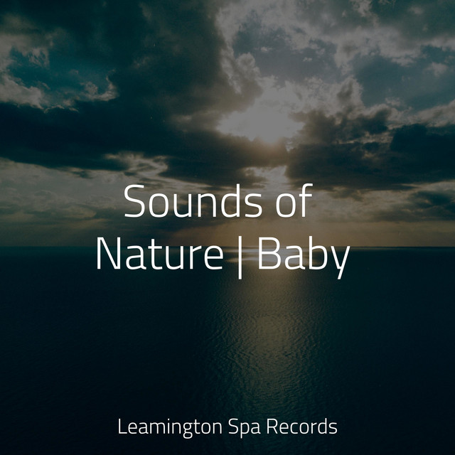 Sounds of Nature | Baby - Album by Rain Drops for Sleep | Spotify