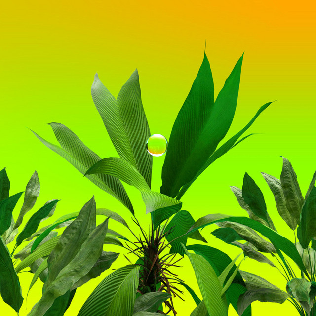 GOD COMPLEX cover art