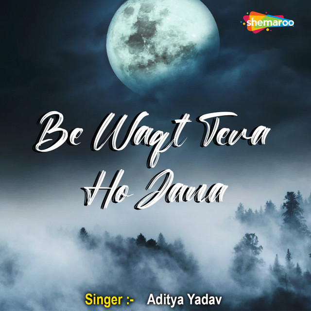 Be Waqt Tera Ho Jana cover