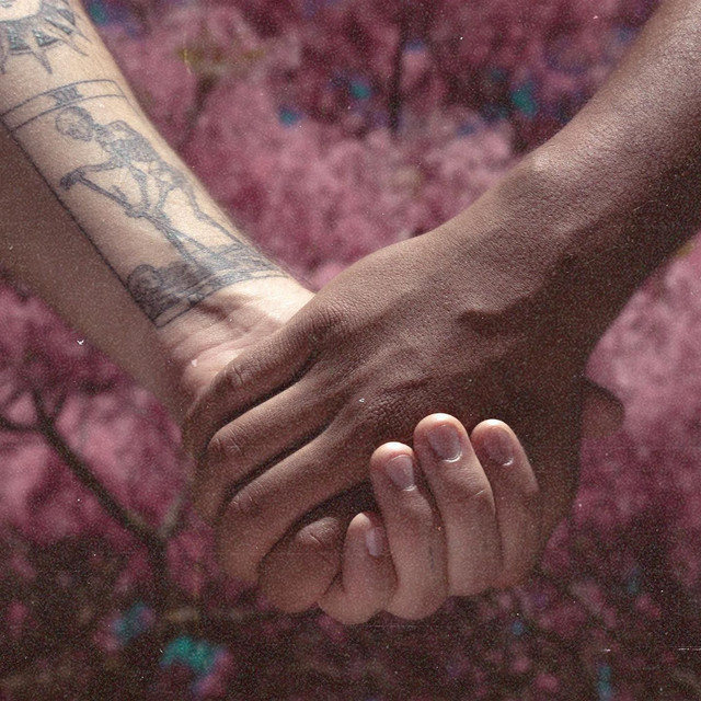 LXS cover art
