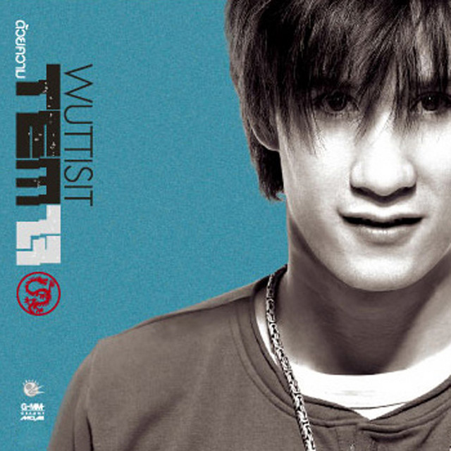 ด้วยความ TEM ใจ cover art