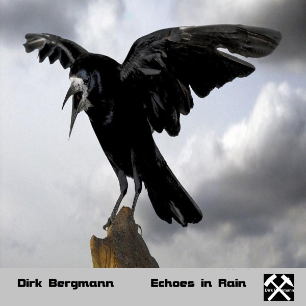 Echoes in Rain cover