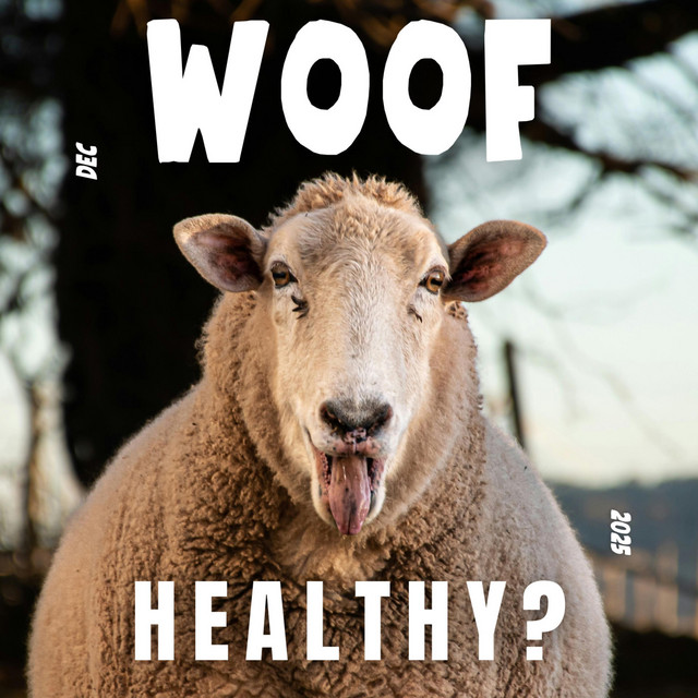 HEALTHY? cover art