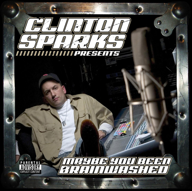Maybe You Been Brainwashed cover art