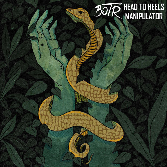 Manipulator cover